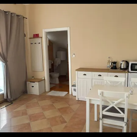 Joy كيسكونهالاس